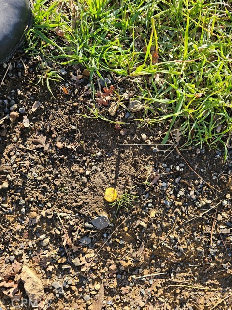 Detail Gallery Image 3 of 15 For 10167 Bell, Lower Lake,  CA 95457 - – Beds | – Baths