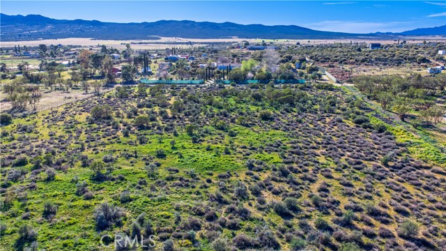 Detail Gallery Image 46 of 71 For 1 Apple Rd, Anza,  CA 92539 - – Beds | – Baths