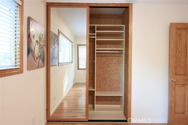 Custom closet with anti-moth red-cedar walls (right)