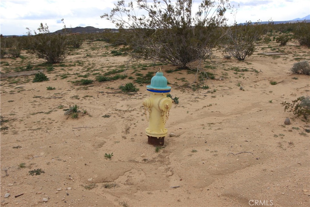 MLS #IV25255331 image #3