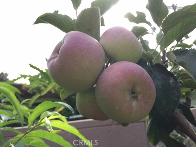 Detail Gallery Image 13 of 39 For Address Is Not Disclosed, Gardena,  CA 90249 - 5 Beds | 4 Baths