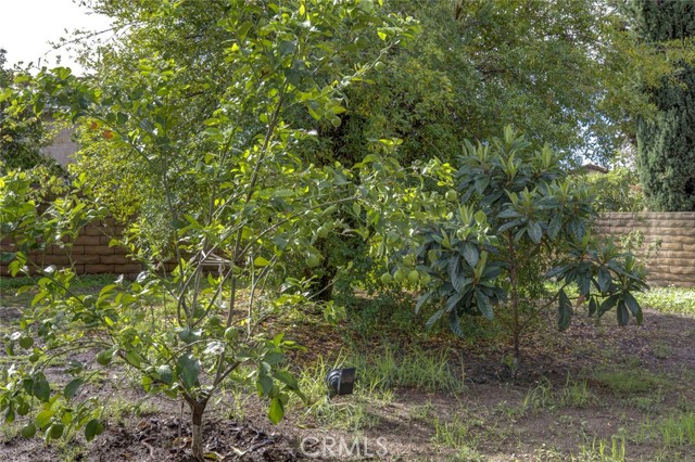 Detail Gallery Image 42 of 52 For 20442 Runnymede, Winnetka,  CA 91306 - 4 Beds | 3 Baths