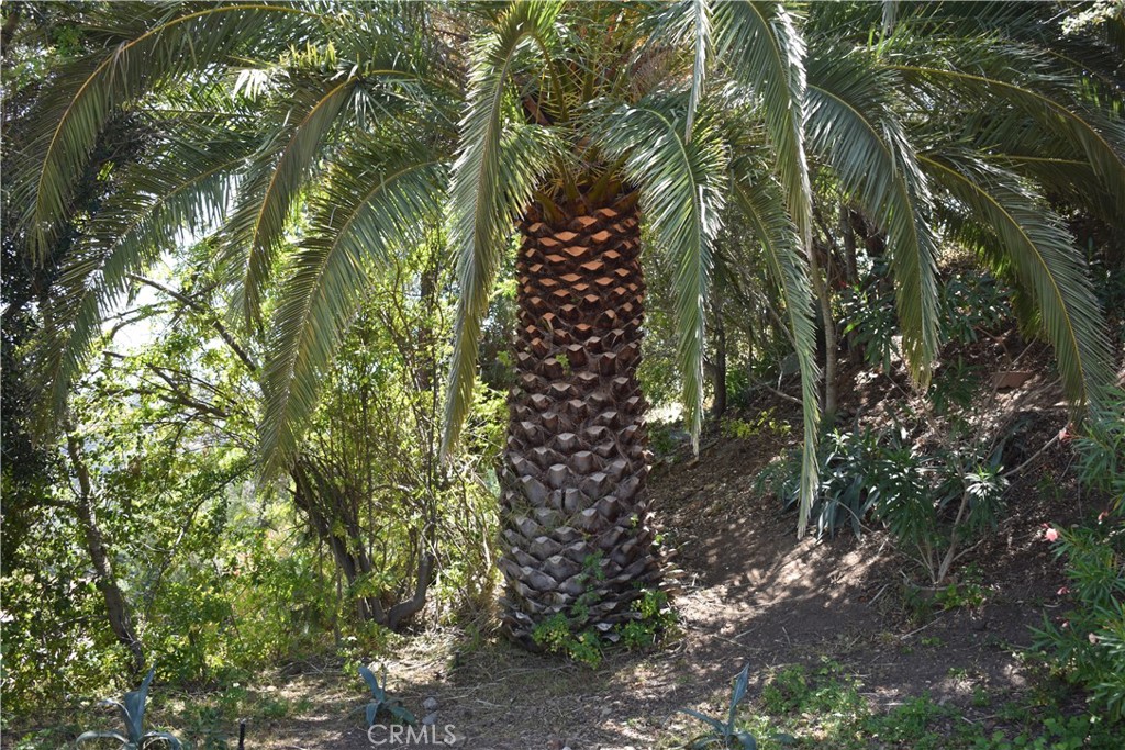 https://media.crmls.org/medias/efe75916-9495-4a57-a7a5-e7388bb1c838.jpg?preset=X-Large