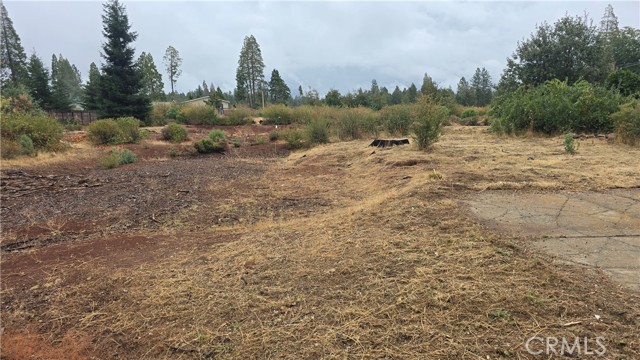 Detail Gallery Image 7 of 9 For 6167 Ponderosa, Magalia,  CA 95954 - – Beds | – Baths