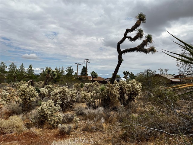 58320 Carlyle, Yucca Valley, CA, 92284 58320 Carlyle, Yucca Valley, CA, 92284