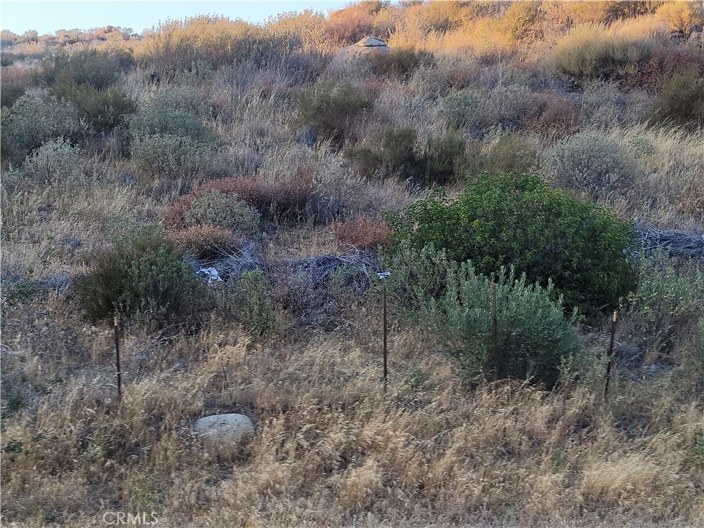 MLS #IV25196430 image #7