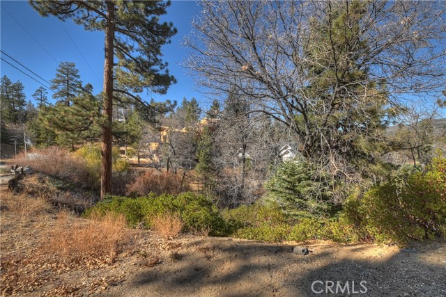 Detail Gallery Image 10 of 15 For 0 Thrush Ct, Big Bear Lake,  CA 92315 - – Beds | – Baths