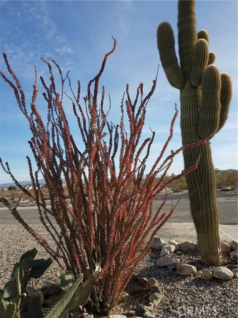 Detail Gallery Image 4 of 15 For 6790 Maude Adams Ave, Twentynine Palms,  CA 92277 - 2 Beds | 1 Baths