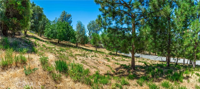 Detail Gallery Image 56 of 75 For 3126 Edgewood Drive, Kelseyville,  CA 95451 - – Beds | – Baths