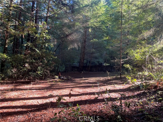 Detail Gallery Image 30 of 40 For 16125 Bittner Rd, Occidental,  CA 95465 - 4 Beds | 2 Baths