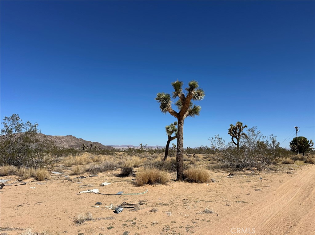 MLS #IV25254922 image #3