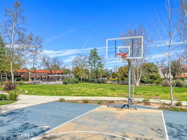 31739 Blue Meadow Lane photo 4