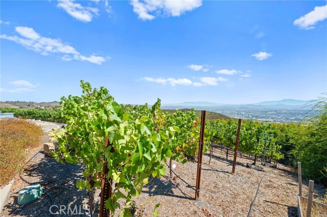 28282 Sycamore Mesa Road, Temecula CA: https://media.crmls.org/medias/f00a5929-2871-40b2-ada8-43df981f8d31.jpg