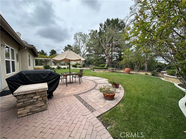 Large Back Yard