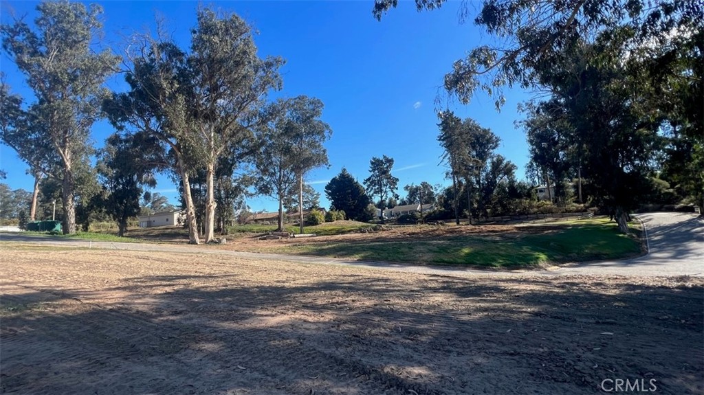MLS #SW25072509 image #15