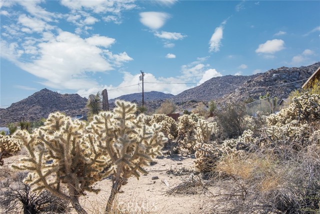 Detail Gallery Image 3 of 15 For 4444 Navajo Trl, Joshua Tree,  CA 92252 - – Beds | – Baths