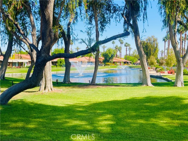 Detail Gallery Image 23 of 39 For 1 Valencia Dr, Rancho Mirage,  CA 92270 - 1 Beds | 1/1 Baths