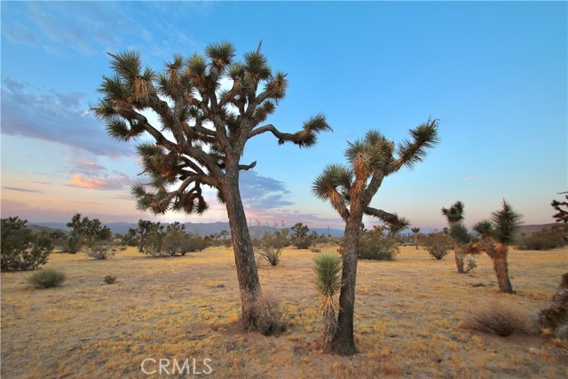 Detail Gallery Image 7 of 12 For 0 Forrest Dr, Yucca Valley,  CA 92284 - – Beds | – Baths