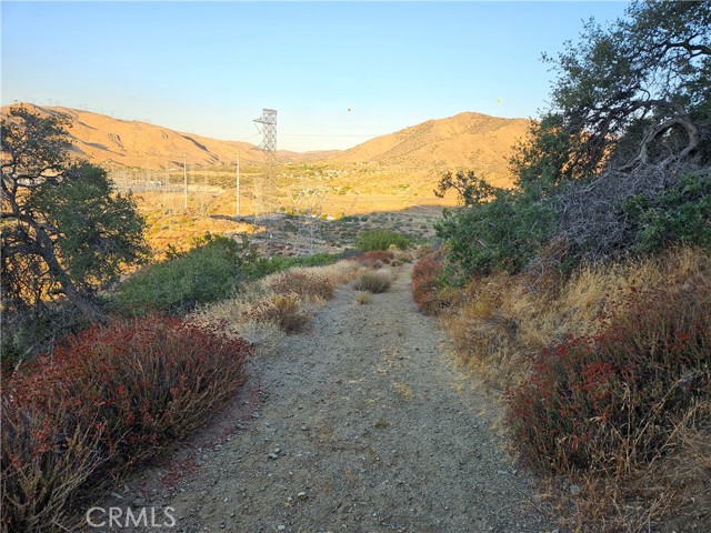 Detail Gallery Image 5 of 23 For 0 Angeles Forest, Palmdale,  CA 93550 - – Beds | – Baths