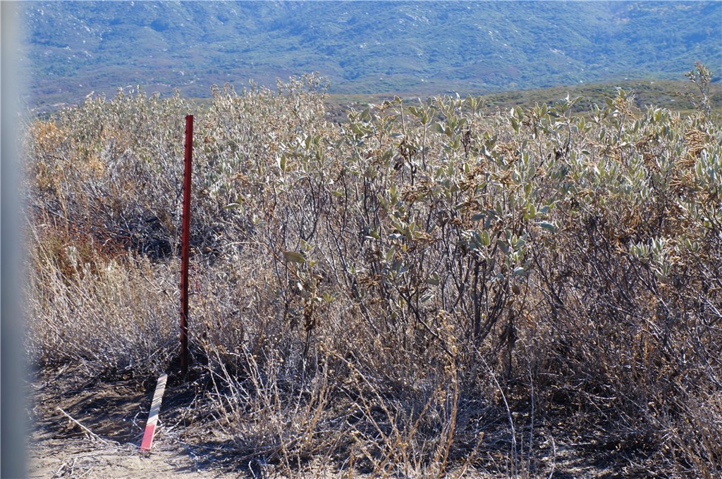 MLS #SB25011782 image #3
