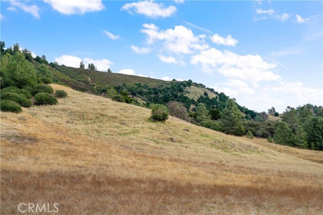 Detail Gallery Image 28 of 49 For 9000 Figueroa Mountain Rd, Los Olivos,  CA 93441 - 2 Beds | 1 Baths