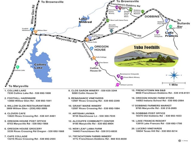 Detail Gallery Image 40 of 41 For 9366 Ranger Trl, Oregon House,  CA 95962 - 3 Beds | 2 Baths