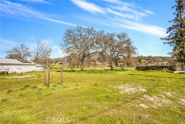 5530 Live Oak Drive, Kelseyville, California 95451, ,Land,For Sale,5530 Live Oak Drive,CRLC23061054