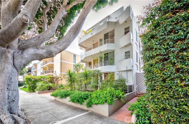 Detail Gallery Image 4 of 43 For 938 2nd St #301,  Santa Monica,  CA 90403 - 2 Beds | 2/1 Baths