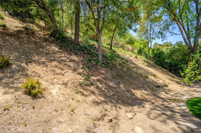 4035 Ellenita Avenue, Tarzana CA: https://media.crmls.org/medias/f03496b1-1058-49f5-be86-e606e5ec56f7.jpg