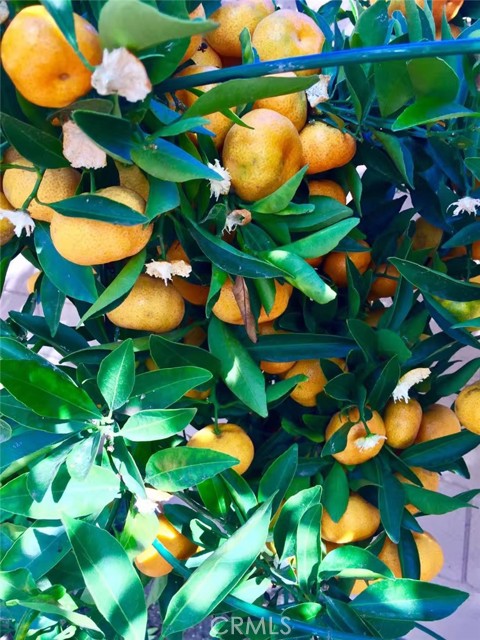 Detail Gallery Image 10 of 39 For Address Is Not Disclosed, Gardena,  CA 90249 - 5 Beds | 4 Baths