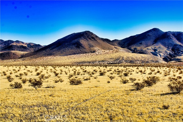 Detail Gallery Image 5 of 42 For 75777 Riverside Rd, Newberry Springs,  CA 92365 - – Beds | – Baths