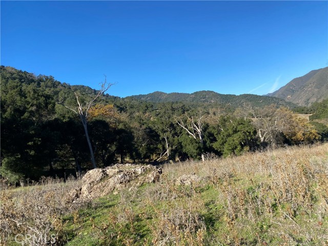 0 Upper Lopez Canyon Rd., Arroyo Grande, California 93420, ,Land,For Sale,0 Upper Lopez Canyon Rd.,CRPI21262059