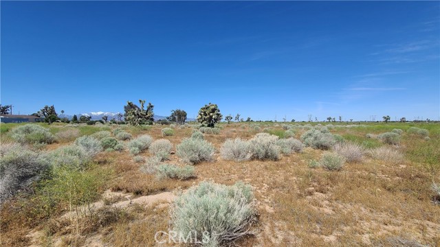 Detail Gallery Image 7 of 15 For 0 Vacant Land, Hesperia,  CA 92345 - – Beds | – Baths