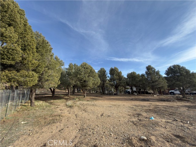 Detail Gallery Image 18 of 31 For 1820 Golden Rod, Big Bear City,  CA 92314 - – Beds | – Baths