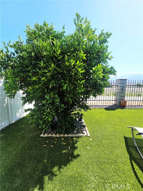 Detail Gallery Image 48 of 53 For 24600 Mountain Ave #19,  Hemet,  CA 92544 - 3 Beds | 2 Baths