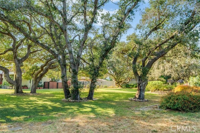 947 Calimex, Nipomo CA: https://media.crmls.org/medias/f04a5c7b-518b-4a18-8bcc-1ed5c6d9792f.jpg