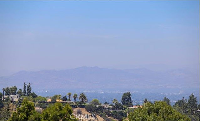 15672 Castlewoods Drive, Sherman Oaks CA: https://media.crmls.org/medias/f04d3b41-d193-4e78-bb59-072835321e69.jpg