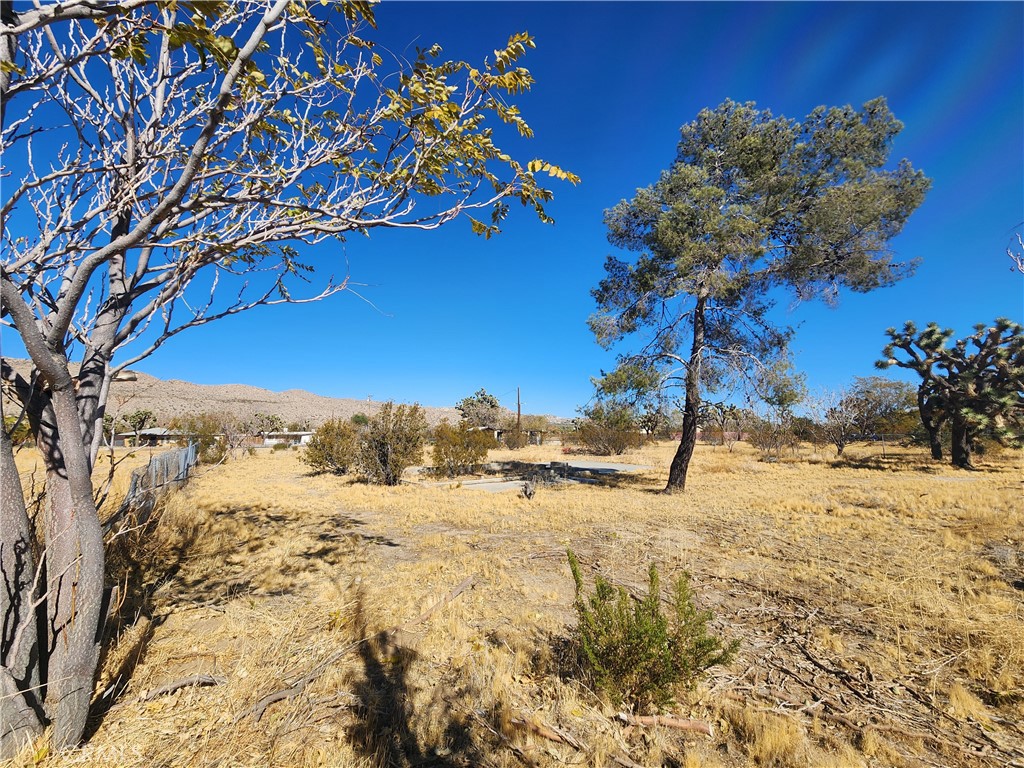 MLS #HD25223548 image #8