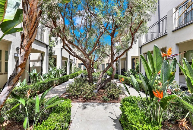 Detail Gallery Image 23 of 25 For 7 Abarrota, Rancho Mission Viejo,  CA 92694 - 2 Beds | 2/1 Baths