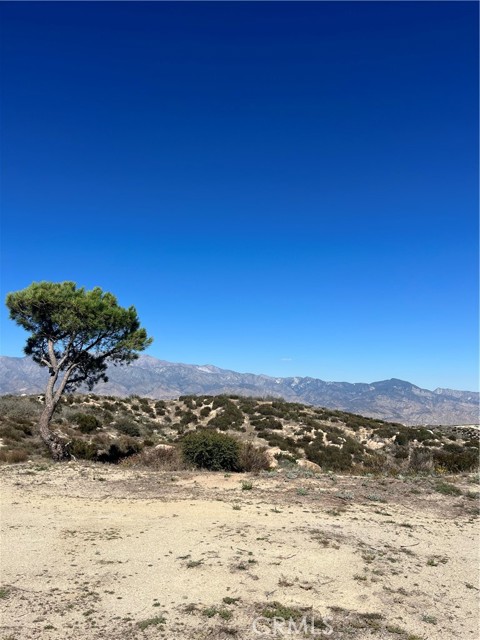 facing E towards San G mountains