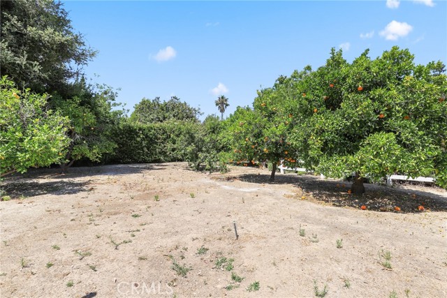 Detail Gallery Image 29 of 33 For 2786 Avenida Simi, Simi Valley,  CA 93065 - 5 Beds | 2/1 Baths