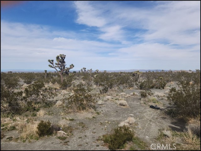 Detail Gallery Image 7 of 11 For 0 Duncan Rd, Pinon Hills,  CA 92372 - – Beds | – Baths