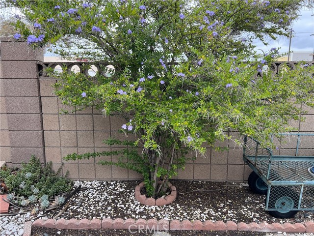 2550 Pacific Coast Hwy. #5 Highway, Torrance CA: https://media.crmls.org/medias/f0658680-64b5-4269-89bd-fb235c9df812.jpg
