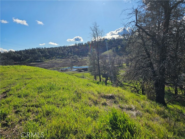 Detail Gallery Image 11 of 15 For 10167 Bell, Lower Lake,  CA 95457 - – Beds | – Baths