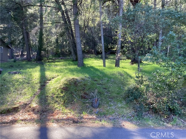 7980 SODA BAY Road, Kelseyville, Vermont 05451, ,Land,For Sale,7980 SODA BAY Road,CRLC23025574