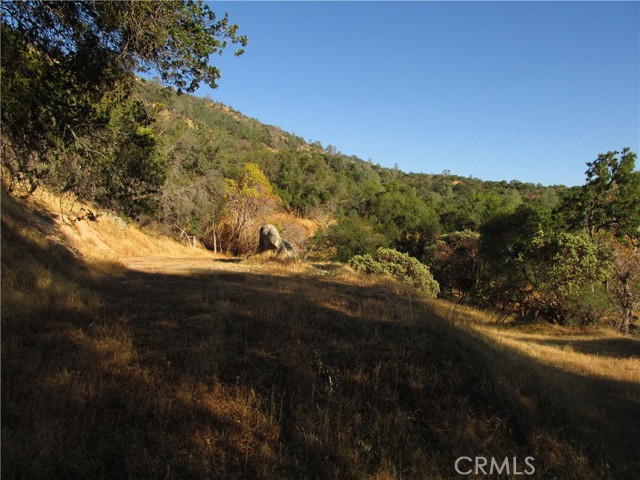 Detail Gallery Image 9 of 54 For 2 Ac Old Oaks Ct, North Fork,  CA 93643 - – Beds | – Baths