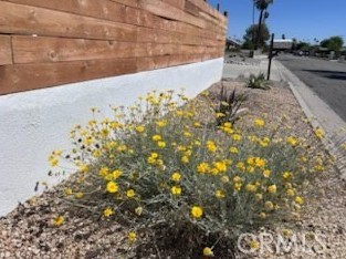 Detail Gallery Image 61 of 61 For 3940 E Calle San Antonio, Palm Springs,  CA 92264 - 3 Beds | 2 Baths