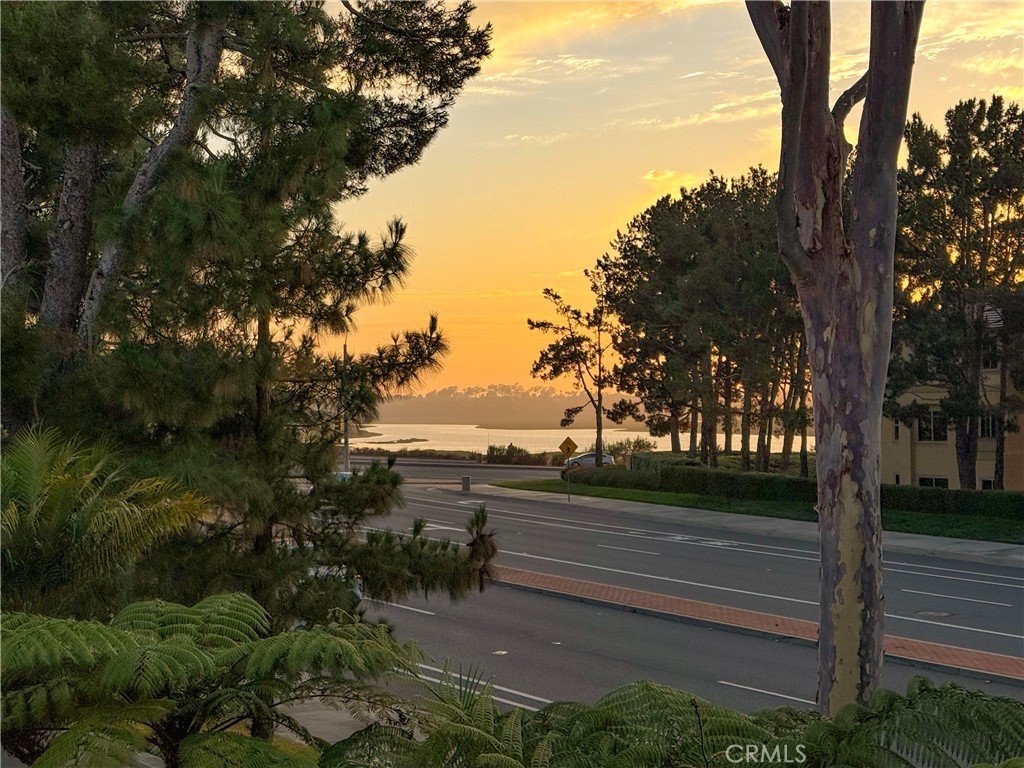 https://media.crmls.org/medias/f0714c11-3ba6-4f40-b90e-2b0bcd76879a.jpg?preset=X-Large