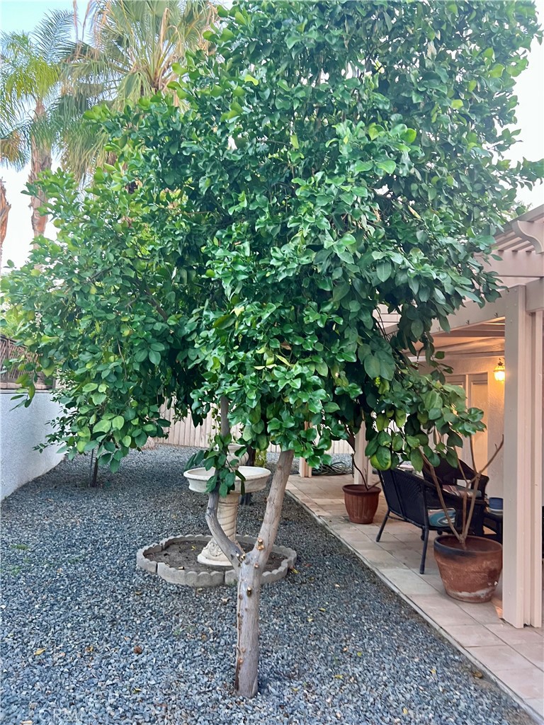 MLS #SB25246329 image #30