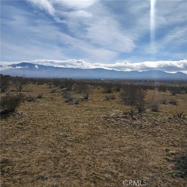 Front Image Thumbnail for CRSW26048924